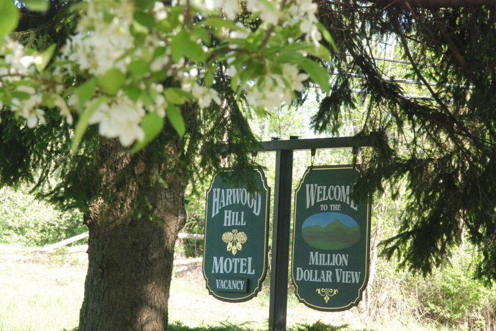Harwood Hill Motel 本宁顿 外观 照片