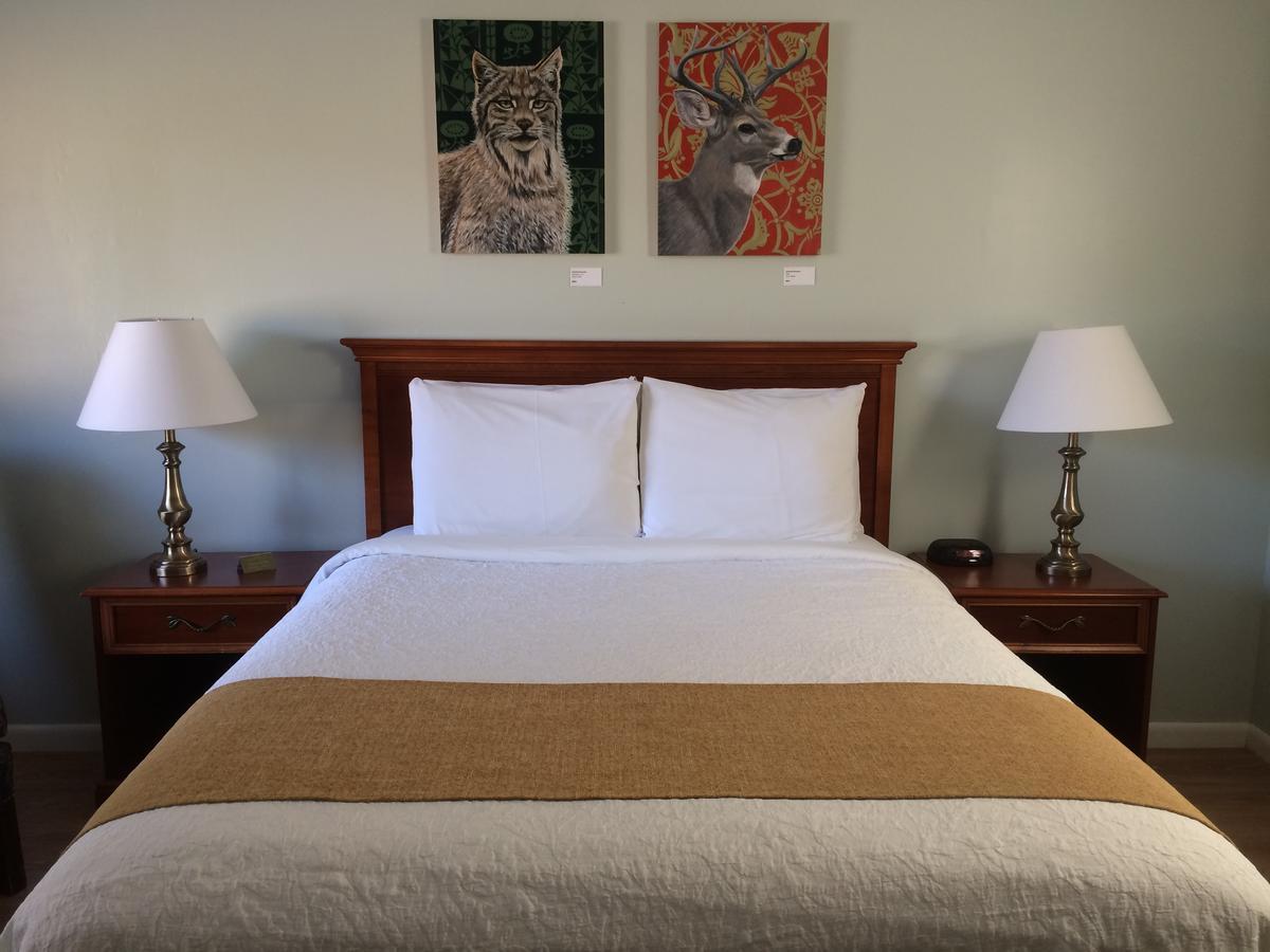 Harwood Hill Motel 本宁顿 外观 照片
